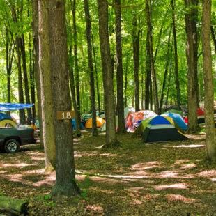 Several tents set up among the trees Indian Head Canoeing Rafting Kayaking Tubing Delaware River