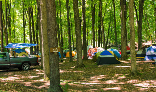 Several tents set up among the trees Indian Head Canoeing Rafting Kayaking Tubing Delaware River