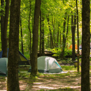 Camping tents set up among the trees Indian Head Canoeing Rafting Kayaking Tubing Delaware River