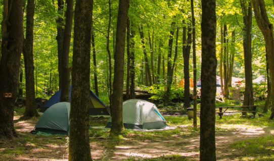 Camping tents set up among the trees Indian Head Canoeing Rafting Kayaking Tubing Delaware River