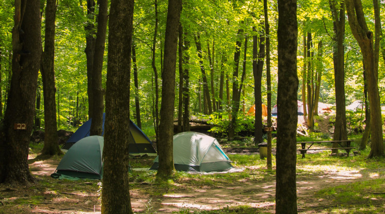 Camping tents set up among the trees Indian Head Canoeing Rafting Kayaking Tubing Delaware River