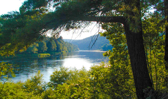 sun reflecting on river surrounded by trees Indian Head Canoeing Rafting Kayaking Tubing Delaware River