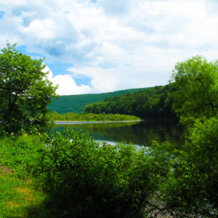 Peaceful scene with green trees on Delaware River Indian Head Canoeing Rafting Kayaking Tubing Delaware River