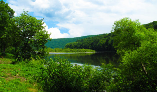 Peaceful scene with green trees on Delaware River Indian Head Canoeing Rafting Kayaking Tubing Delaware River