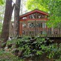 view looking up at cabin and deck between tall trees Indian Head Canoeing Rafting Kayaking Tubing Delaware River