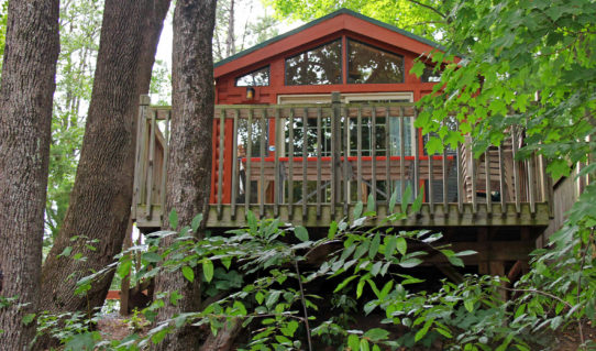 view looking up at cabin and deck between tall trees Indian Head Canoeing Rafting Kayaking Tubing Delaware River