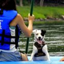 cute dog in raft on Delaware River Indian Head Canoeing Rafting Kayaking Tubing Delaware River