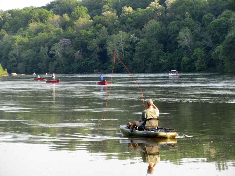 fisherman in his boat shad fishing at Knights Eddy